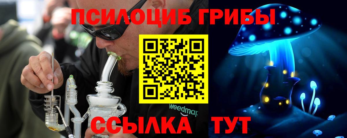 Галлюциногенные грибы Psilocybine cubensis Пыть-Ях